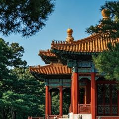 SAN QIAN LI KAO ROU User Photo