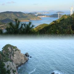 张小花奶茶铺(体育馆店) User Photo