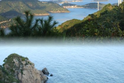 张小花奶茶铺(体育馆店)