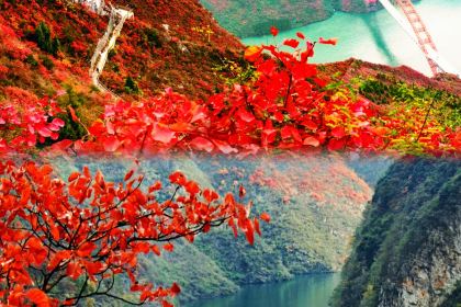 二十二楼川菜馆