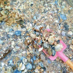 老四海鲜家常菜(中山西路店) User Photo