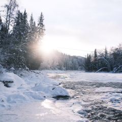 禾木老村山庄 User Photo