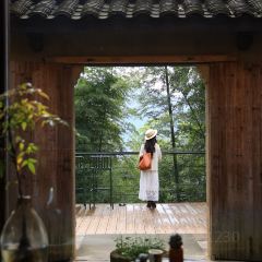 飞茑集樢咖啡 User Photo