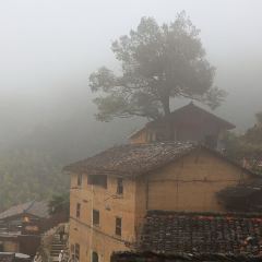 飞茑集樢咖啡 User Photo