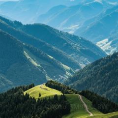 杨记灌肠(食品街店) User Photo