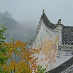 Sage Hall Homestay User Photo