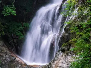 Mulushan Forest Park