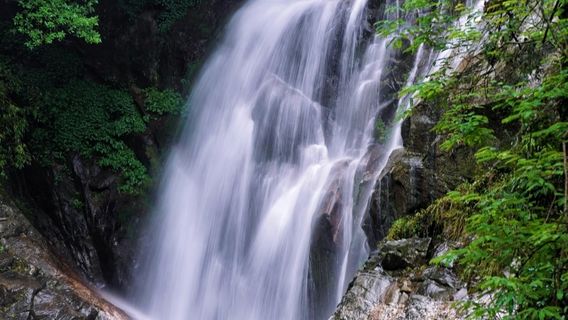 Mulushan Forest Park