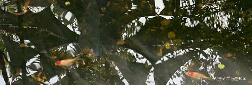 Harudot Chonburi by Nana Coffee Roasters