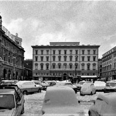 鮮入圍煮張用戶圖片