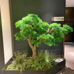 JINHUI RESTAURANT User Photo