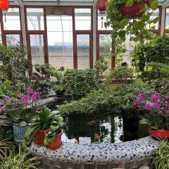 乔家院子 User Photo
