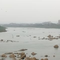 汇龙大酒楼有限公司(新兴店) User Photo
