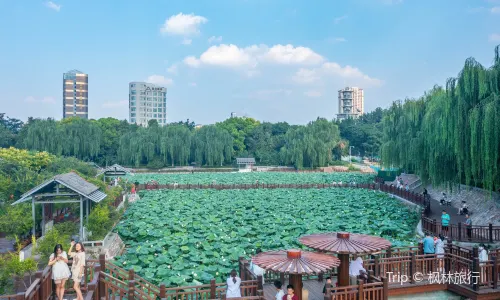 Zijing Mountain Park