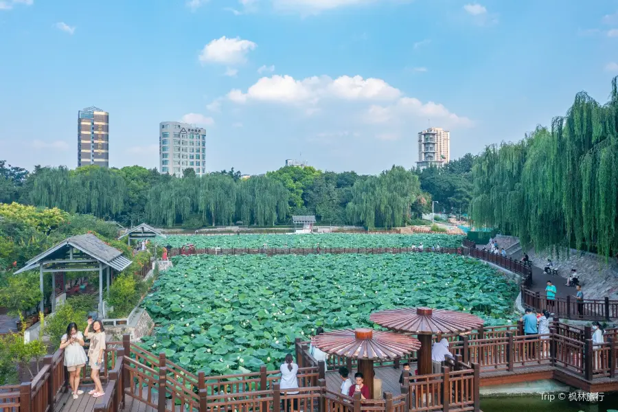 Zijing Mountain Park