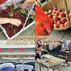 Donggulaosuanluobo (xiangyunchezhan) User Photo