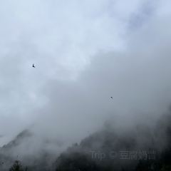 毕棚沟娜姆湖度假酒店·风味餐厅 User Photo