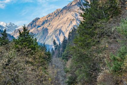 绵虒老陈记豆腐庄