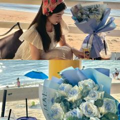 海边有棵树 여행 사진