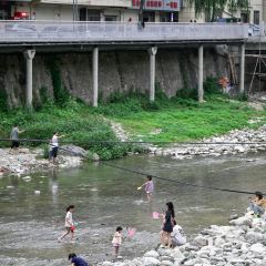 乡土地道农家菜(市场巷) User Photo