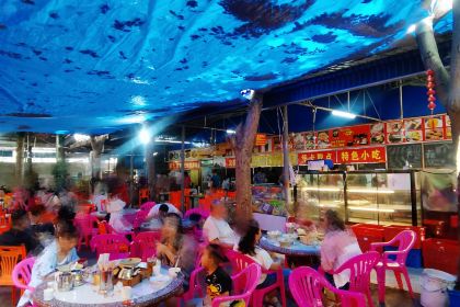 高隆湾中西茶园