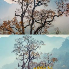 Sage Hall Homestay User Photo