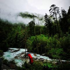 丙中洛云野·见江·餐厅 User Photo