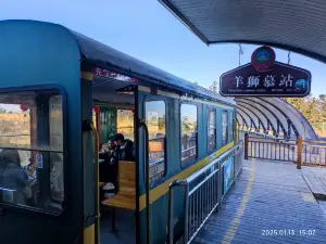 Sightseeing Train Yangshimu Station