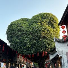 唐沫茶兮(东街盛裕店) User Photo