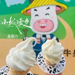 Seeing Tea User Photo