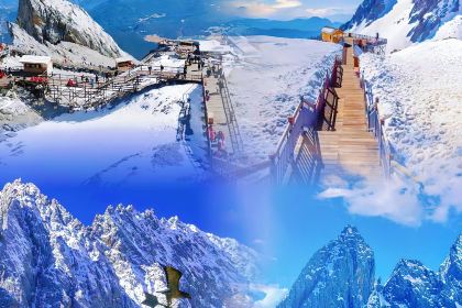 Forest Factory Party