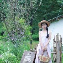 hill side 여행 사진