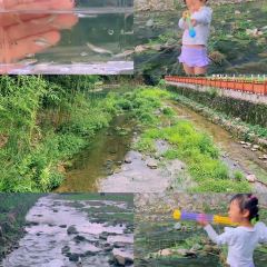 YONG XIANG TU CAI GUAN User Photo