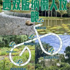 mamalao老撾烤肉糯米飯張用戶圖片