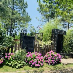 無錫魯能萬豪飯店·萬豪中餐廳張用戶圖片