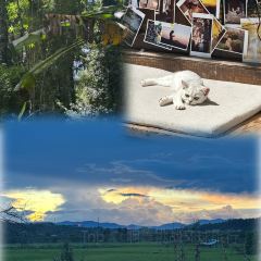 Yingxiangyuan Restaurant 여행 사진