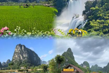 ZHANG FEI CASSAVA SOUP