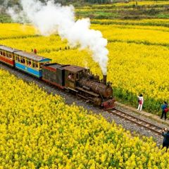 MAO MAO HAN User Photo