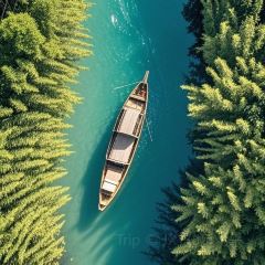 ZHENGLIANG SEAFOOD User Photo