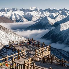 JUN WANG FU User Photo