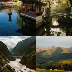 Weiweimushugeng User Photo