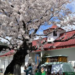 Menchuubo Ajisai Main Branch User Photo