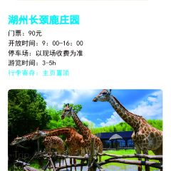 樑掌門老樑幹挑（鳳凰路店）張用戶圖片