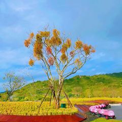 岭澜食尚 User Photo