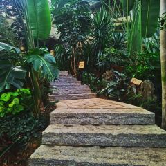 星巴克(華茂店)張用戶圖片