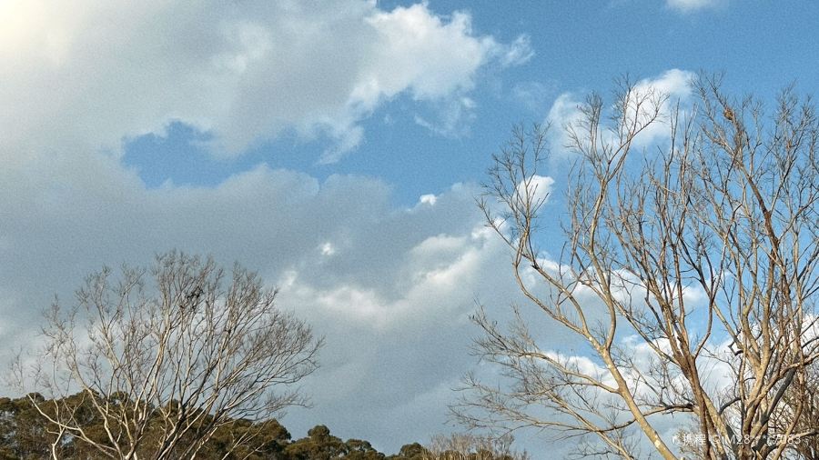 东安东联餐厅(国际新城店)