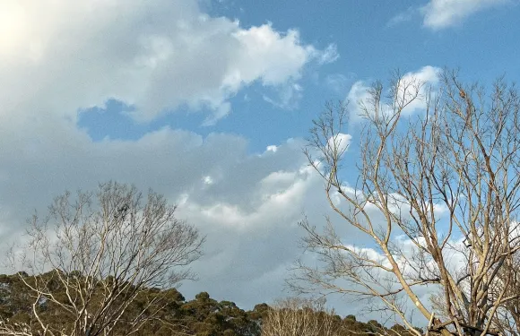 東安東聯餐廳（國際新城店）