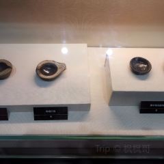 大明府 User Photo