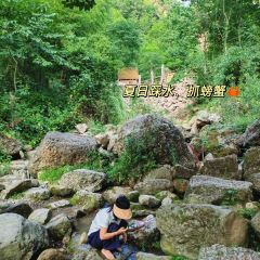 Dasanzheng Beef User Photo