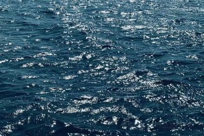 DA XIANG SHI PIN JIAN KANG LU DIAN